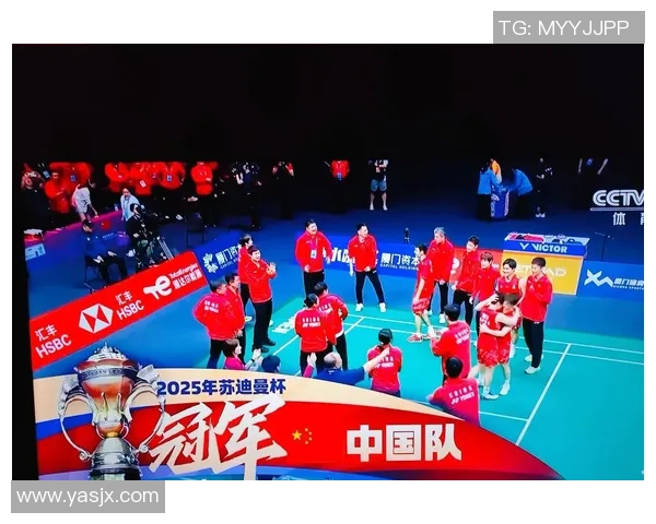 羽毛球节奏排行榜揭晓北京羽毛球队荣登第七位引发热议