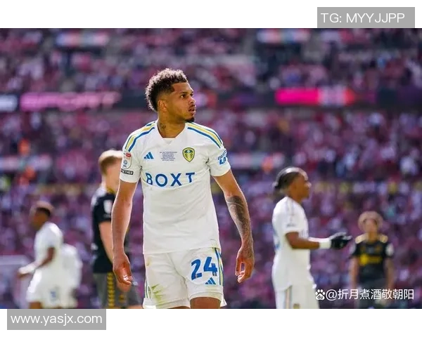 英国足球明星的璀璨星空与他们的传奇故事探秘