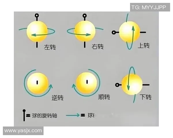 西安乒乓球队反击战术解析与实战应用探讨